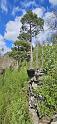 IMG-20250509-WA0006