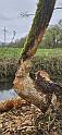 IMG-20260412-WA0030