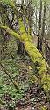 IMG-20260412-WA0032
