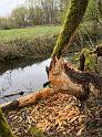 IMG-20260412-WA0050