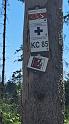 IMG-20260818-WA0029