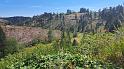 IMG-20260818-WA0031