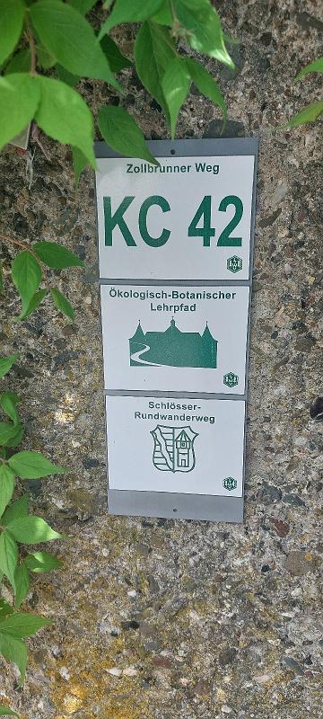 20260503_133931.jpg