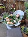 IMG-20260607-WA0094