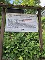 IMG-20260607-WA0096